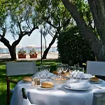 Alexandra Plaza 4* Ριτσιόνε