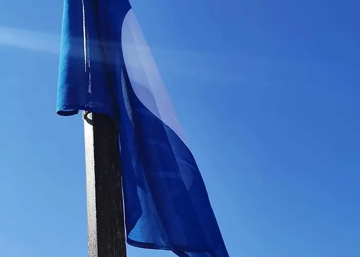 Alexandra Plaza ホテル リッチョーネ