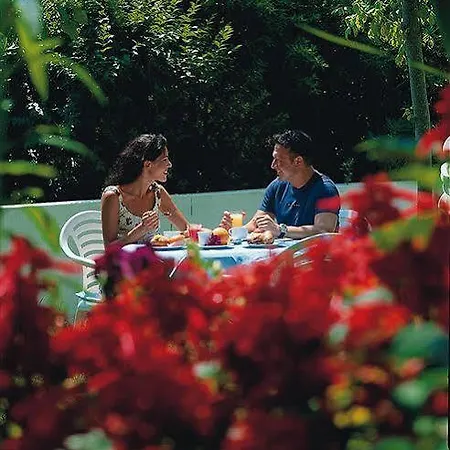 Отель Color Alexandra Plaza Family